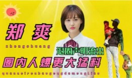 圈内人真实爆料视频播放,视频播放背后的惊人内幕